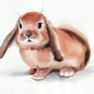 Breaking News: The EU is Allowing Animal Testing in 2021