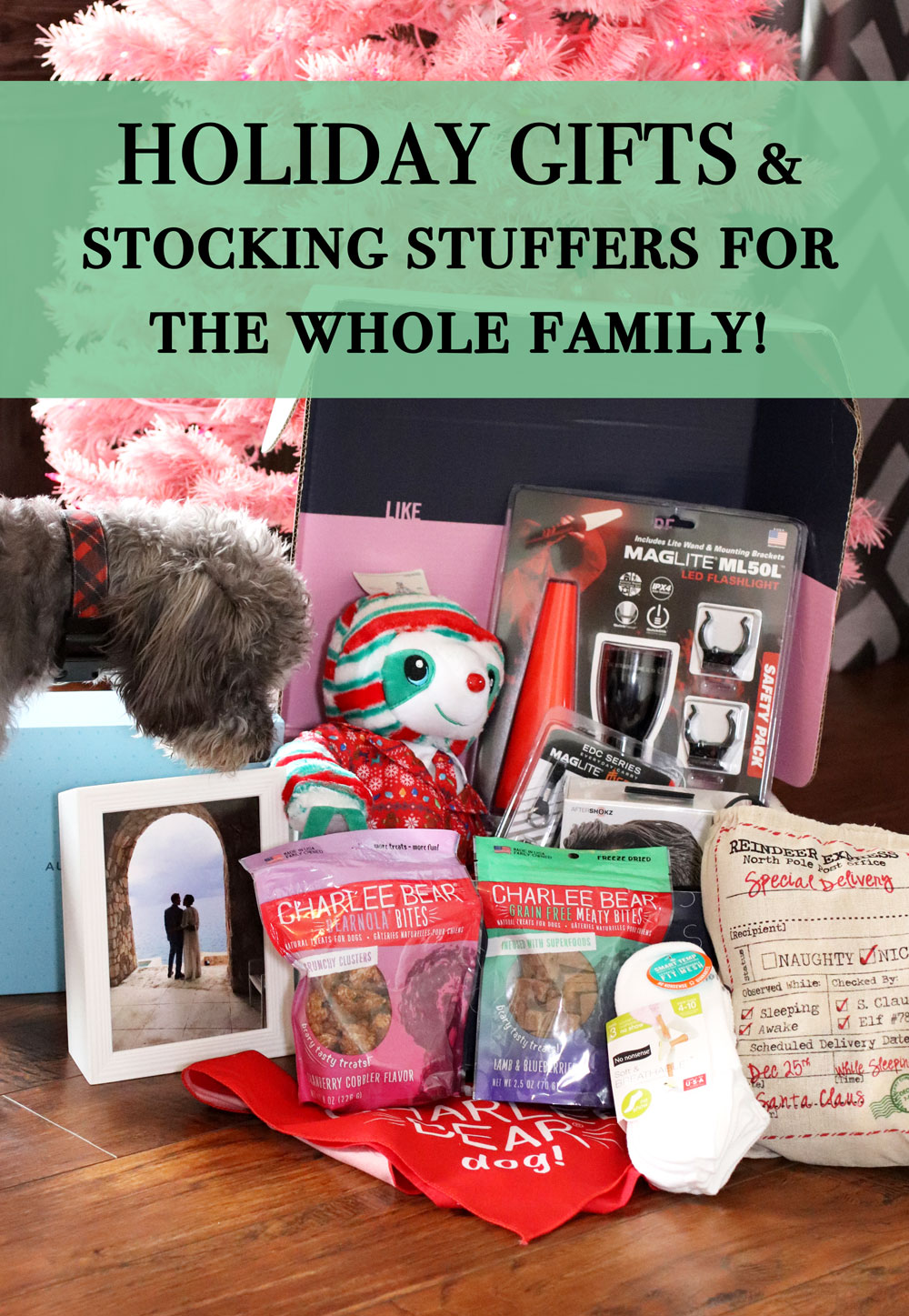 2019 Holiday Gift Guide for the whole family