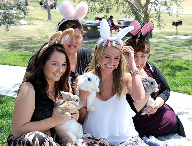 bunny lovers