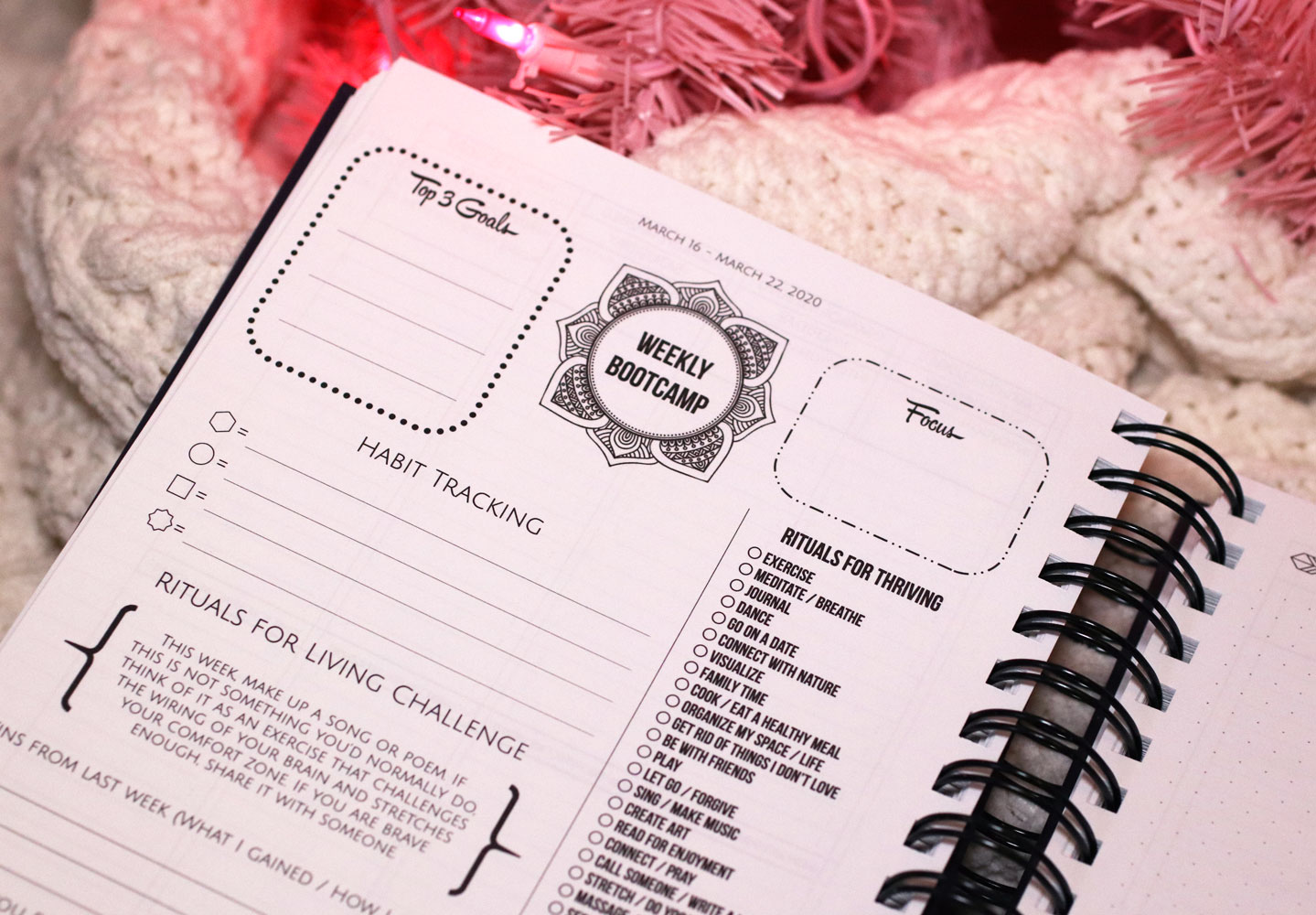 Woman Owned Holiday Gift Guide 2019 - Dreambook Planner