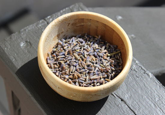 lavender buds