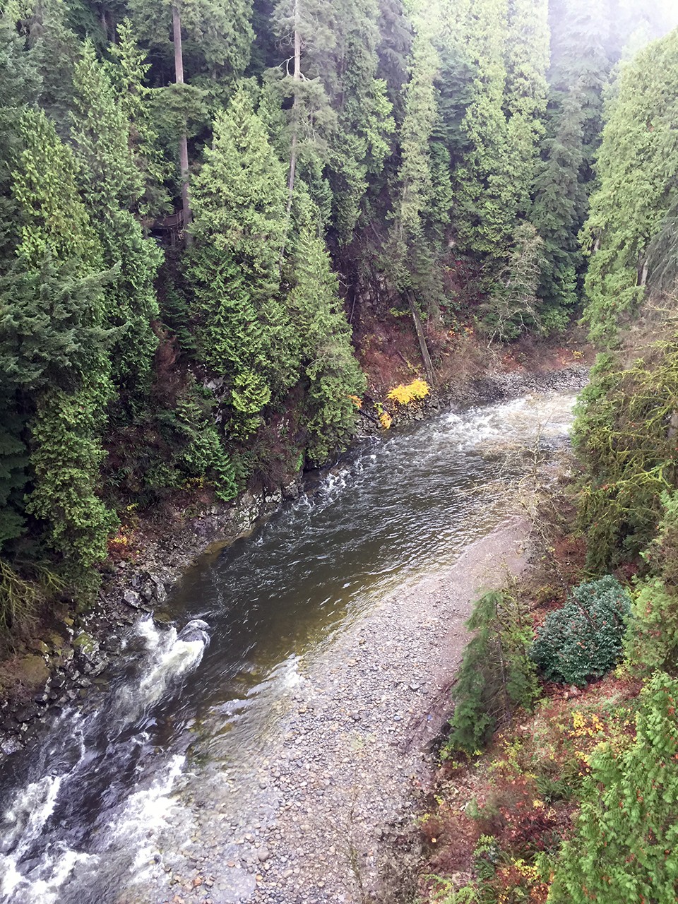 Capilano Suspension Bridge Vancouver