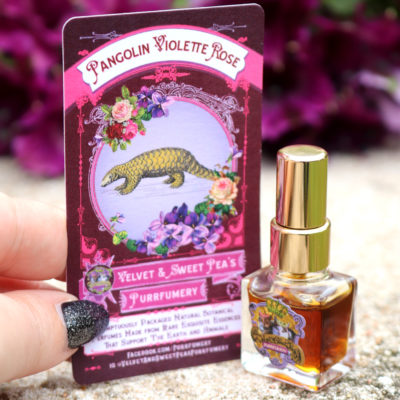Save the Pangolins with this Luxury Fragrance from Velvet and Sweet Pea’s Purrfumery