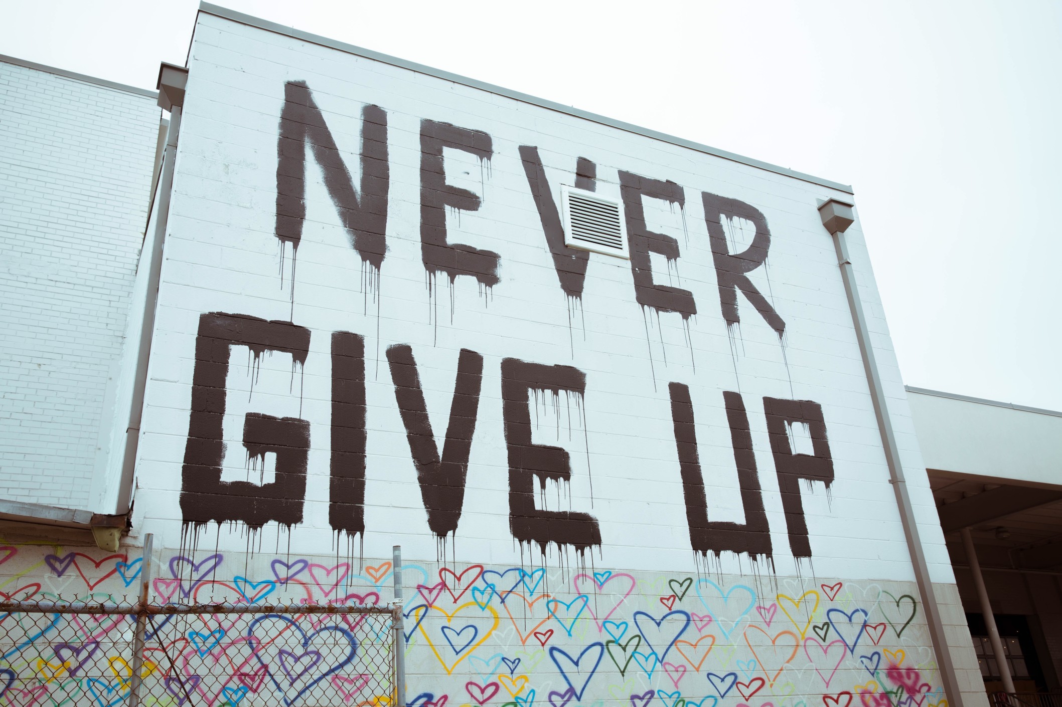Never give up - fight against animal testing!